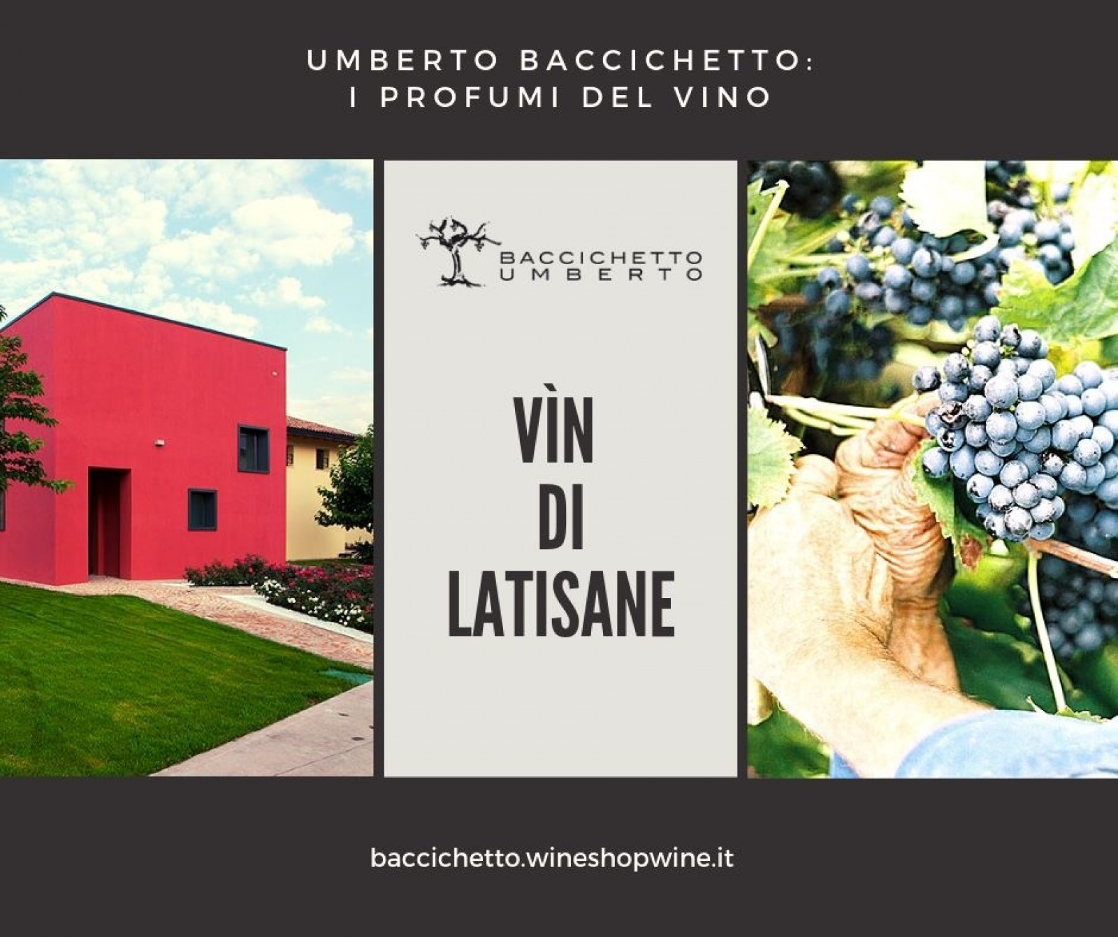 Berto e Fiorella Baccichetto à DOC Latisana, Prosecco, Frizzante - Les viticulteurs - photo 3