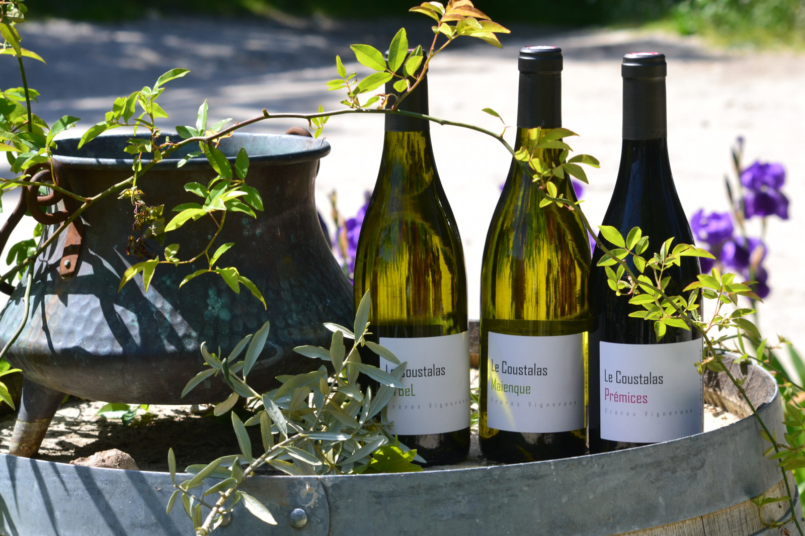 Domaine Le Coustalas à Ventoux - Les viticulteurs - photo 3