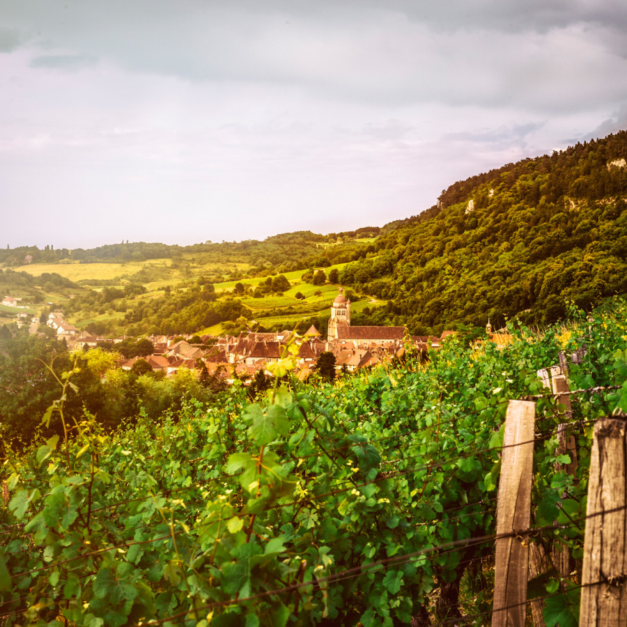 Domaine Michel Thibaut à Macvin-du-Jura, Crémant-du-Jura, Côtes-du-Jura - Les viticulteurs - photo 3