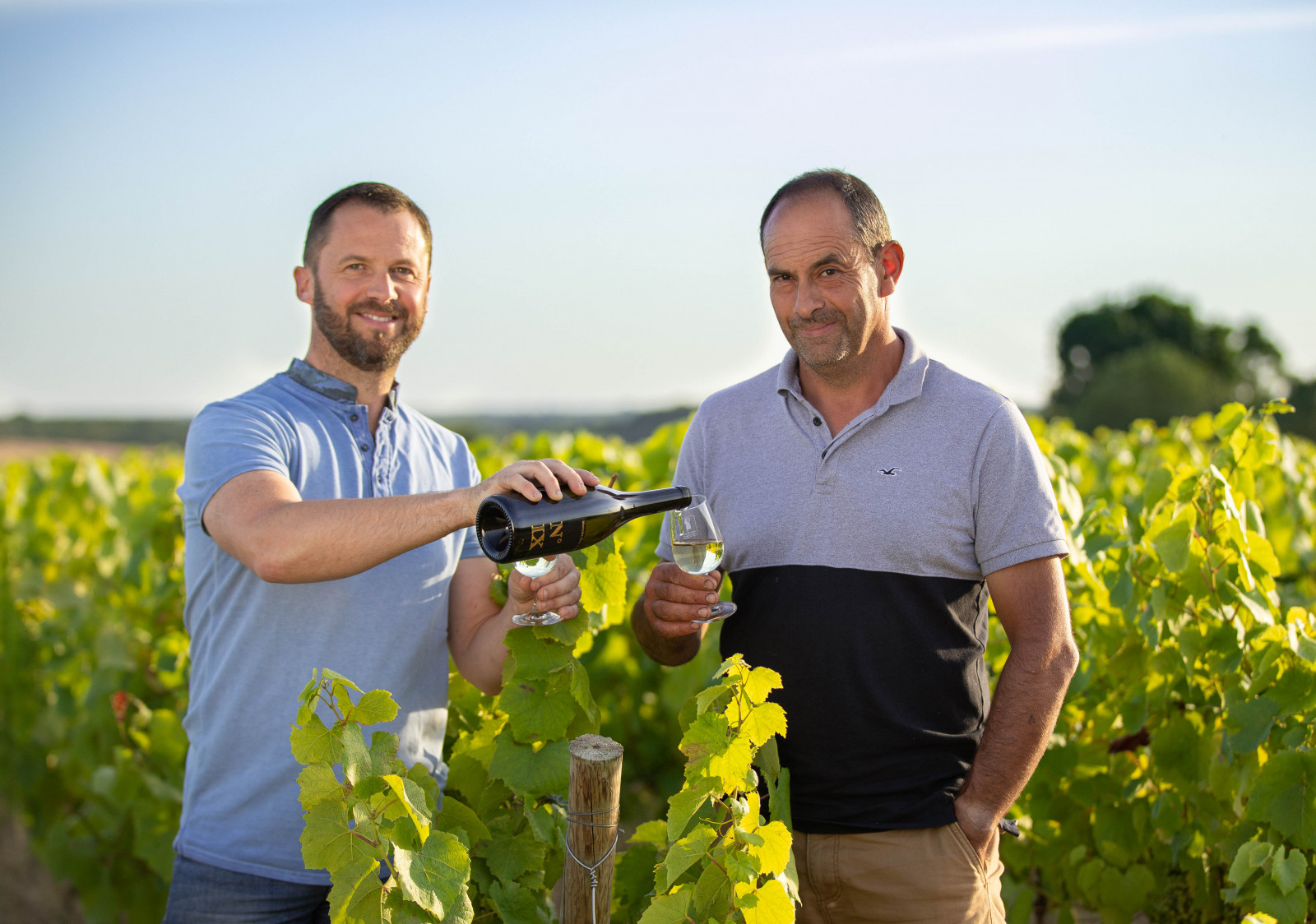 Domaine de la Garnière à Muscadet AOP, Val de Loire IGP - Die Weinbauern - photo 3