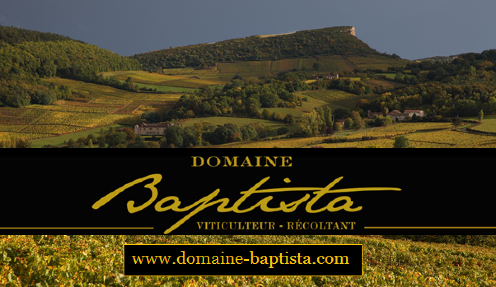 Domaine Baptista à Mâcon-Bussières - Les viticulteurs - photo 3
