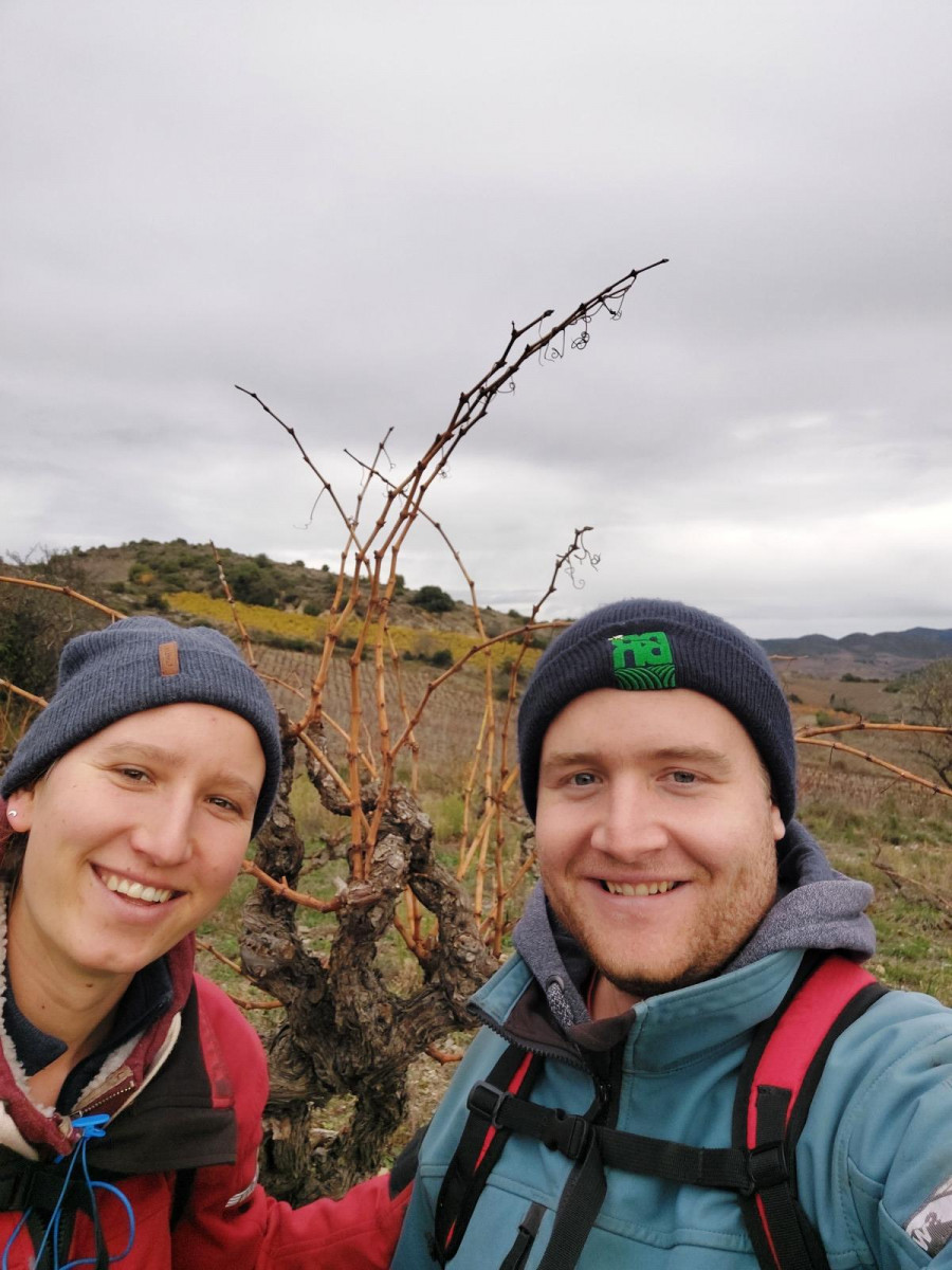 Domaine Montluzia à Cascatel-de-Corbières - Les viticulteurs - photo 3