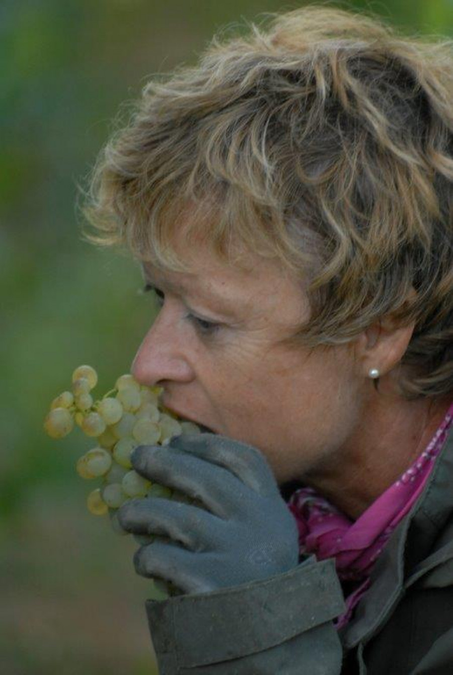 Domaine Françoise Jeanniard à Bourgogne Aligoté, Pernand-Vergelesses, Aloxe Corton, Savigny - Les viticulteurs - photo 3