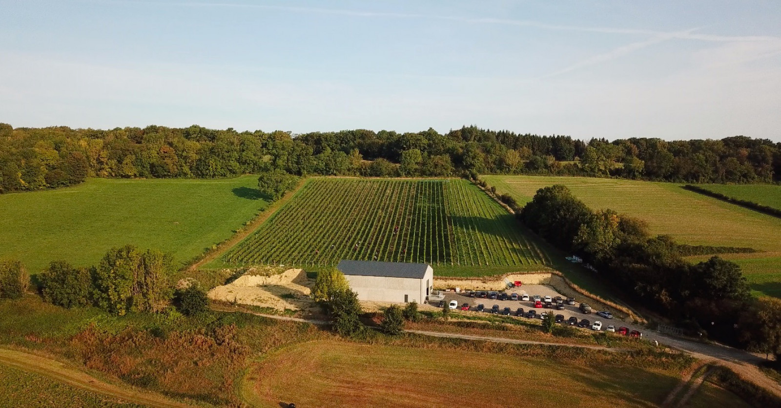 Vin du pays de Herve à - Les viticulteurs - photo 3