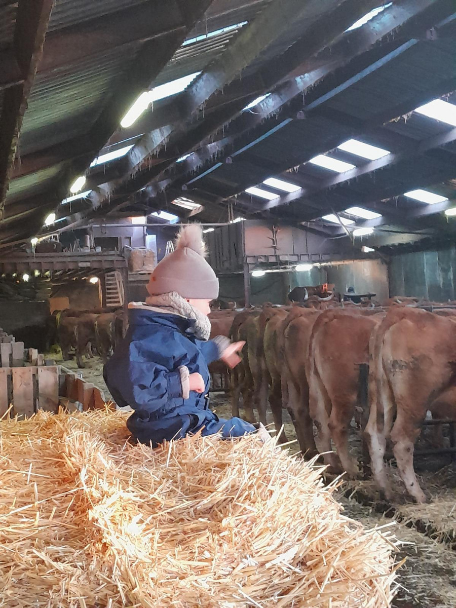La ferme de Bergifa à Lierneux - Les produits de bouche - photo 3