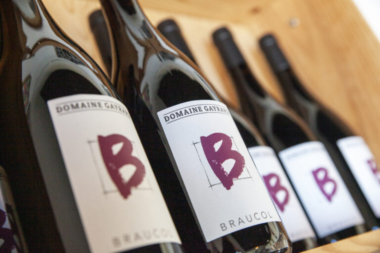 Domaine Gayrard à Sud-Ouest - Gaillac - Les viticulteurs - Les viticulteurs - photo 3