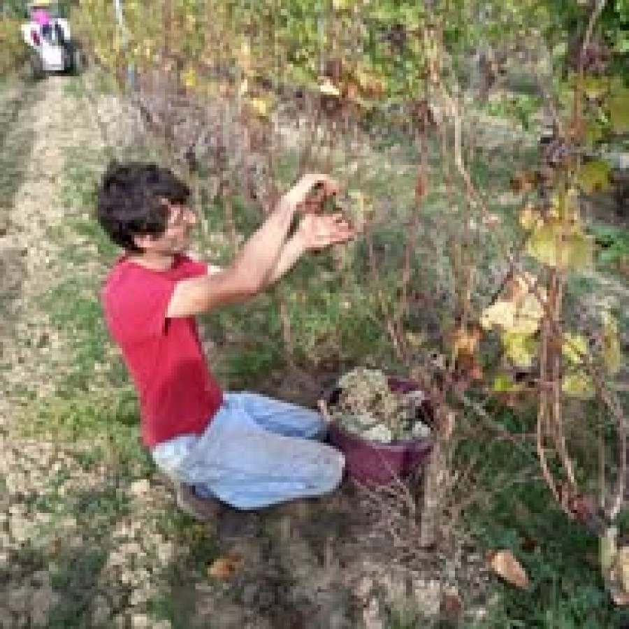 Château Viguerie de Beulaygue à Sud-Ouest - Les viticulteurs - Les viticulteurs - photo 3