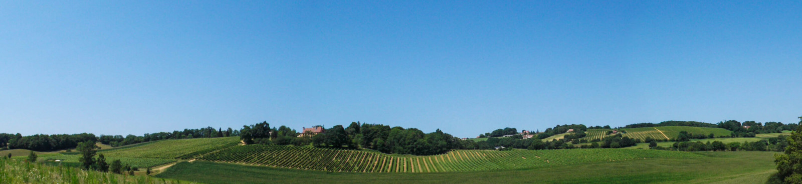 Château Floris à Sud-Ouest - Les viticulteurs - Les viticulteurs - photo 3