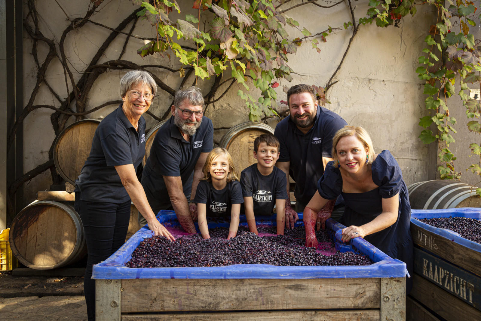 Domus Vinum à Kaapzicht - Die Weinbauern - Die Weinbauern - photo 3