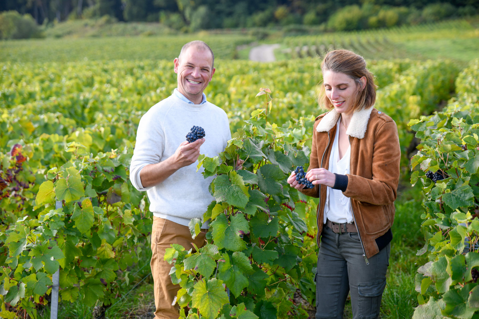 Champagne Feneuil-Pointillart à Chamery - Les viticulteurs - Les viticulteurs - photo 3