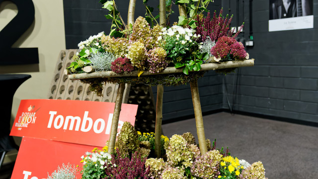 Salon 2026 - Salon du vin de Malmedy - photo 169