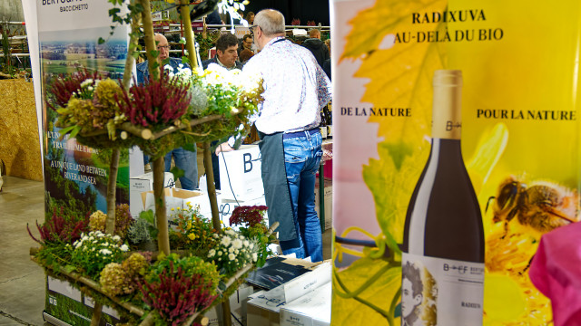 Salon 2026 - Salon du vin de Malmedy - photo 212